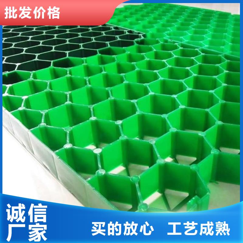 植草格聚乙烯土工膜廠家貨源