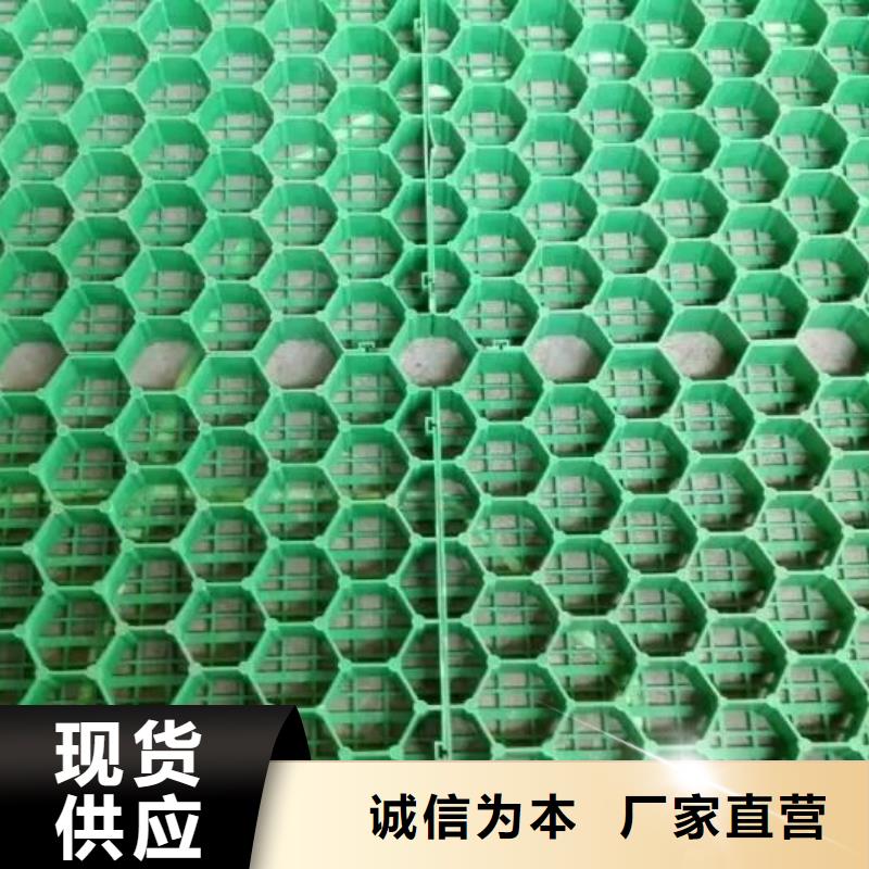 植草格聚乙烯土工膜廠家貨源