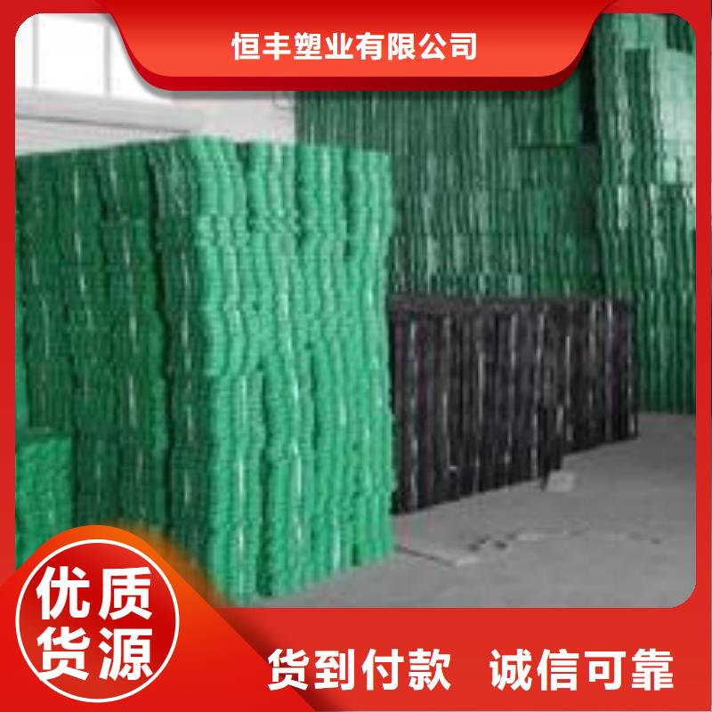 植草格【HDPE土工膜】款式新穎