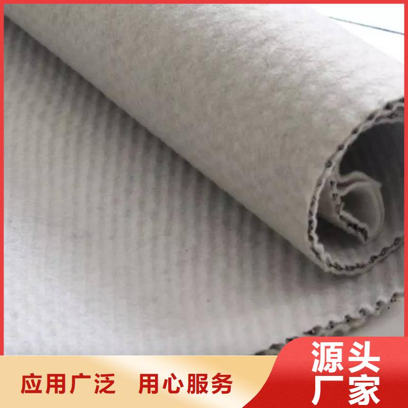 【三維復合排水網(wǎng)-塑料盲溝實體廠家支持定制】