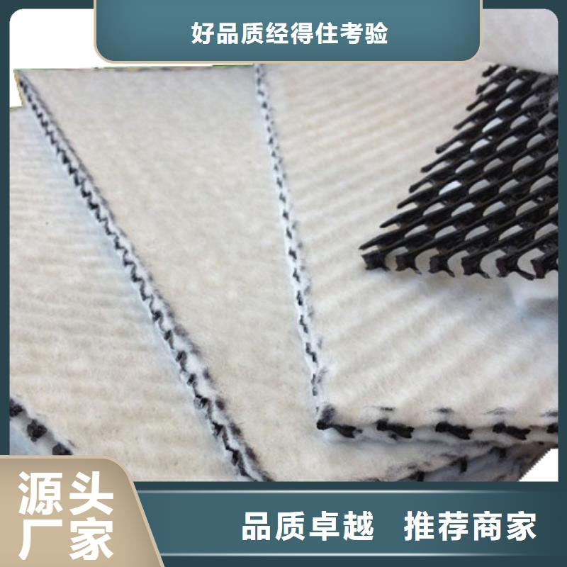 三維復合排水網-【城建土工膜】放心得選擇