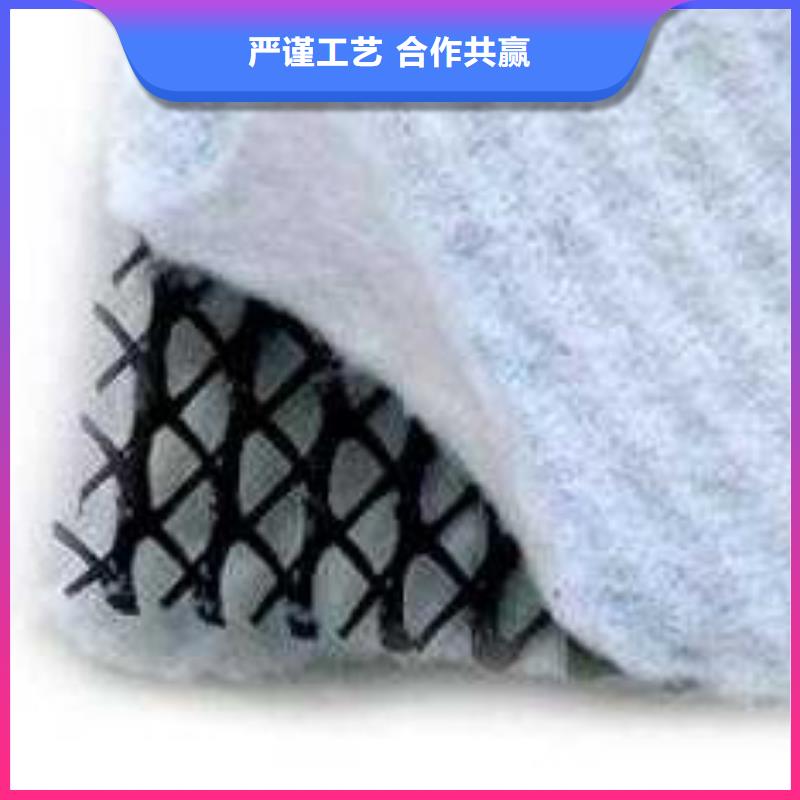 三維復(fù)合排水網(wǎng)_毛細(xì)排水板工程施工案例