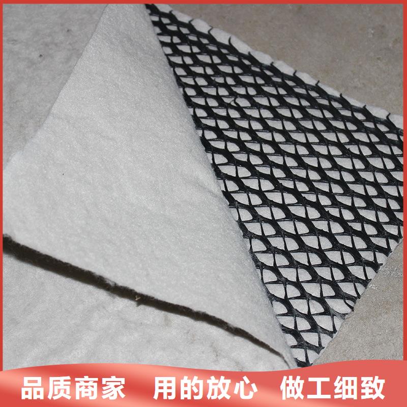 三維復合排水網-【城建土工膜】放心得選擇