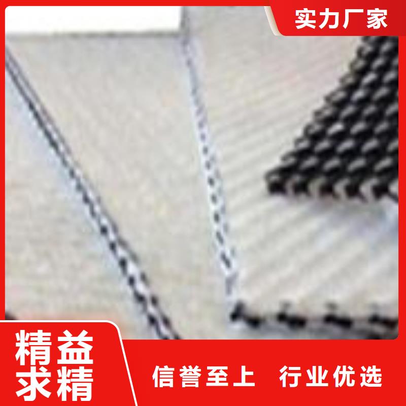 【三維復合排水網】土工布廠家銷售