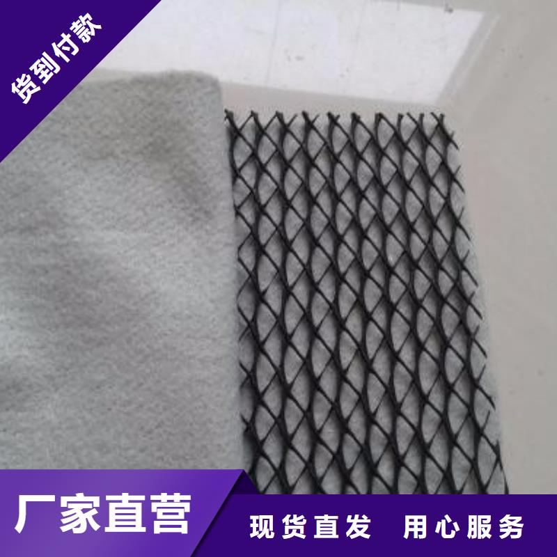 三維復合排水網-毛細排水板量大從優