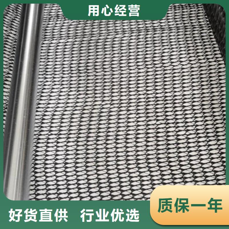 【三維復合排水網(wǎng)-塑料盲溝實體廠家支持定制】