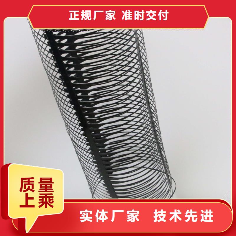 塑料土工格柵復合土工膜N年專注