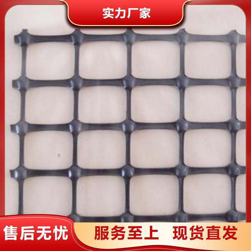 塑料土工格柵【土工席墊】專業廠家