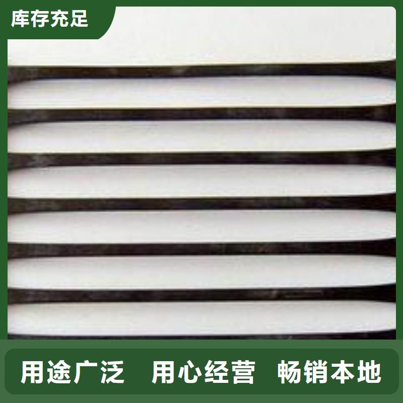 塑料土工格柵復(fù)合土工膜N年專注
