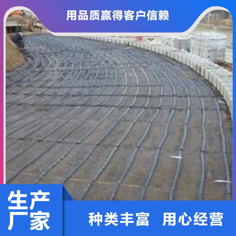玻璃纖維土工格柵土工格室型號(hào)齊全