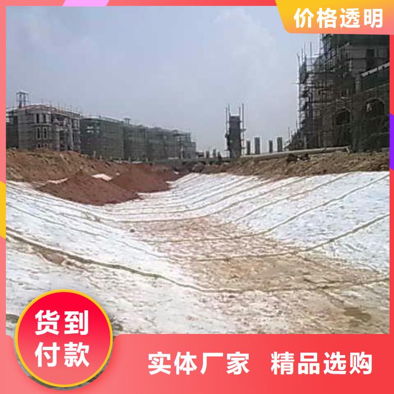 【膨潤土防水毯】雙向塑料土工格柵用心做產(chǎn)品