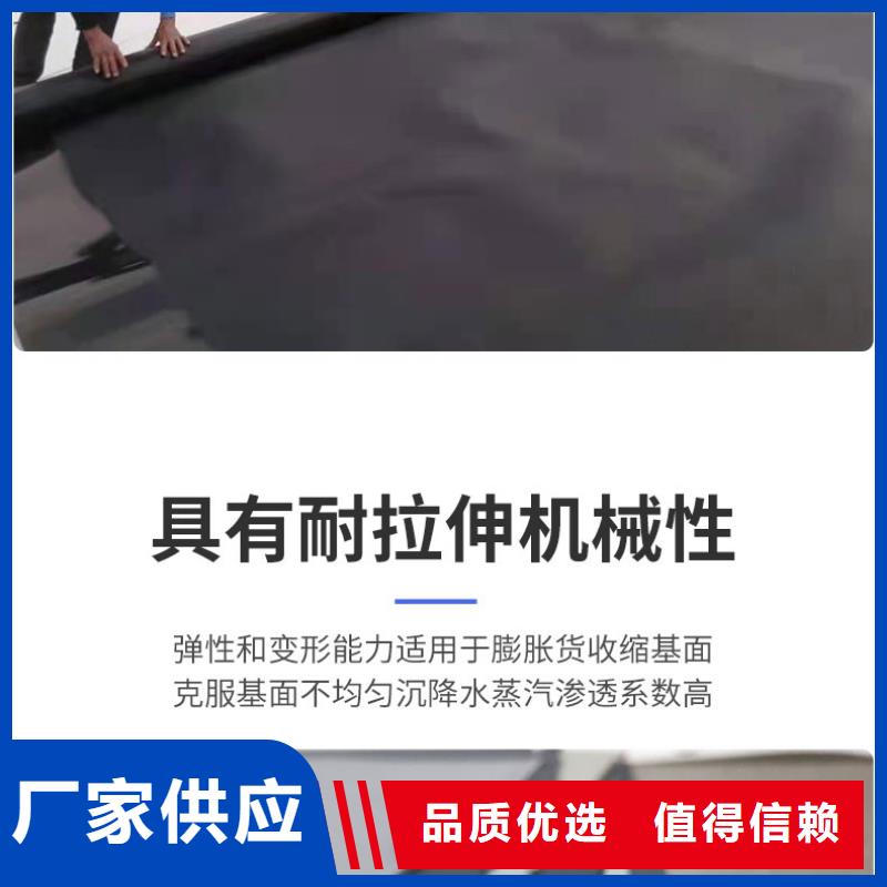 【土工膜】钢塑土工格栅多年行业积累