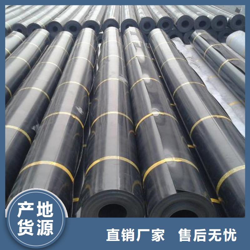 土工膜單向塑料土工格柵價格合理