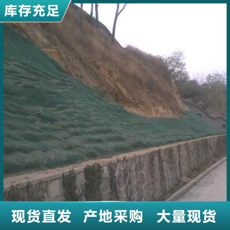 【三维植被网】-透水土工布现货快速采购