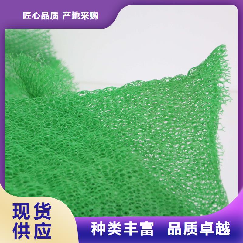 【三维植被网】-透水土工布现货快速采购