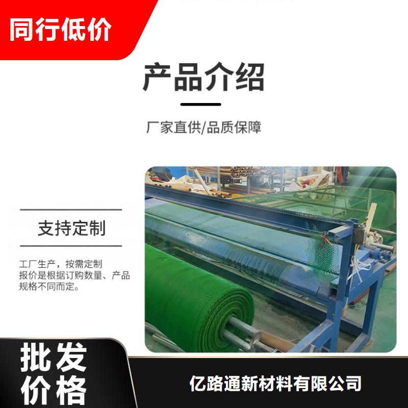 三維植被網透水土工布專業生產設備
