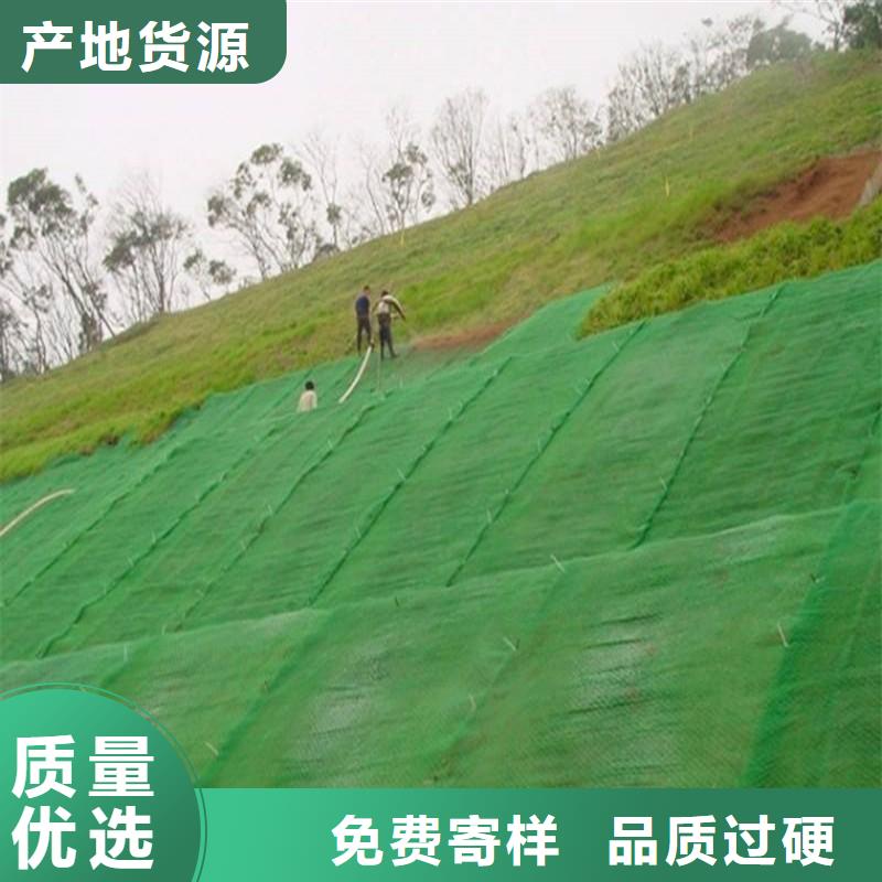 【三维植被网】-透水土工布现货快速采购