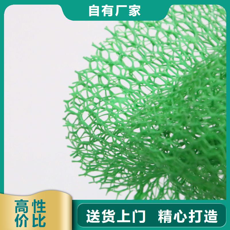 三維植被網(wǎng)【土工布】有口皆碑