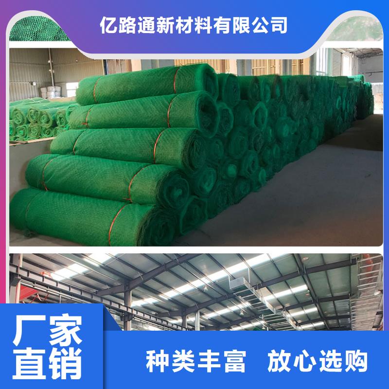 三維植被網(wǎng)土工格室甄選好廠家
