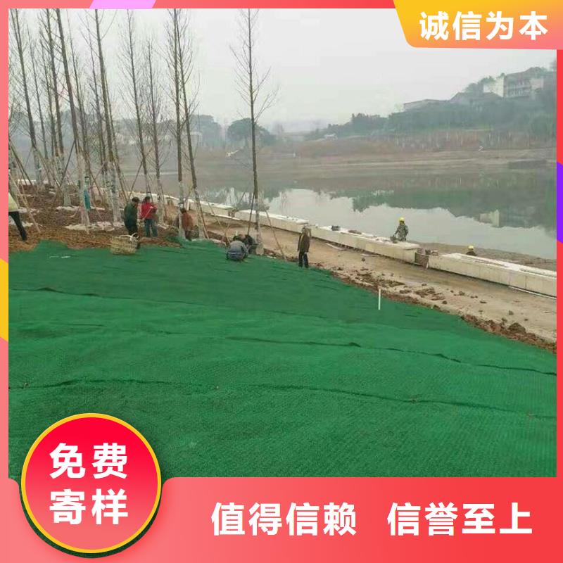 三維植被網(wǎng)養(yǎng)殖膜用心制造