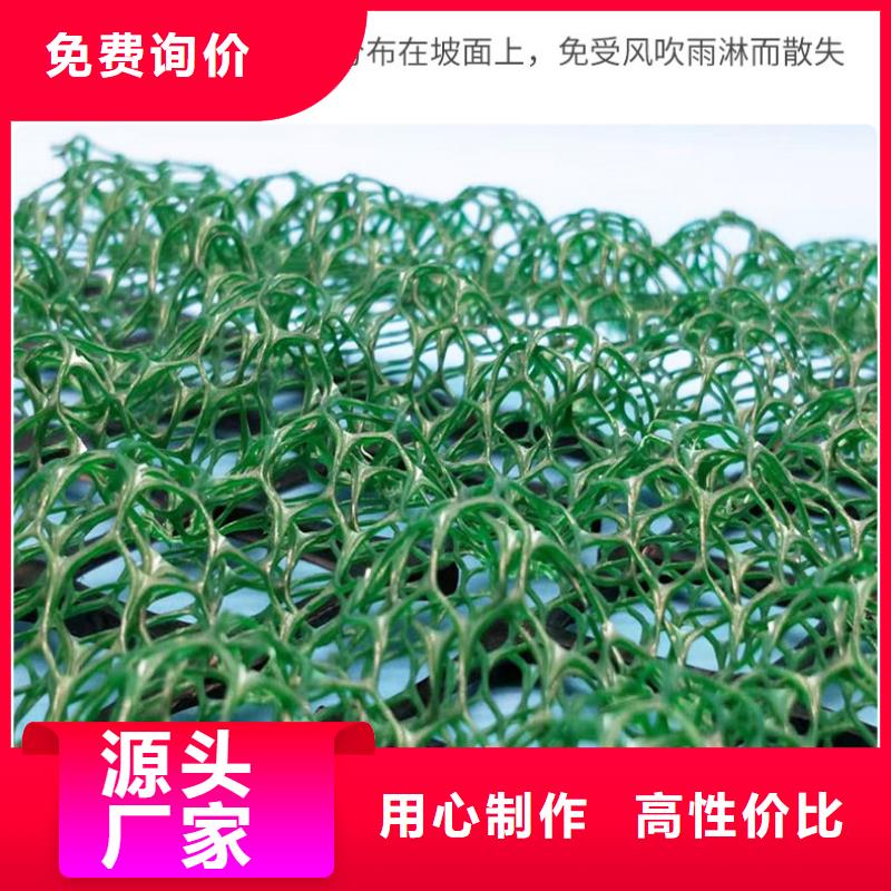 【三维植被网-养殖膜款式多样】