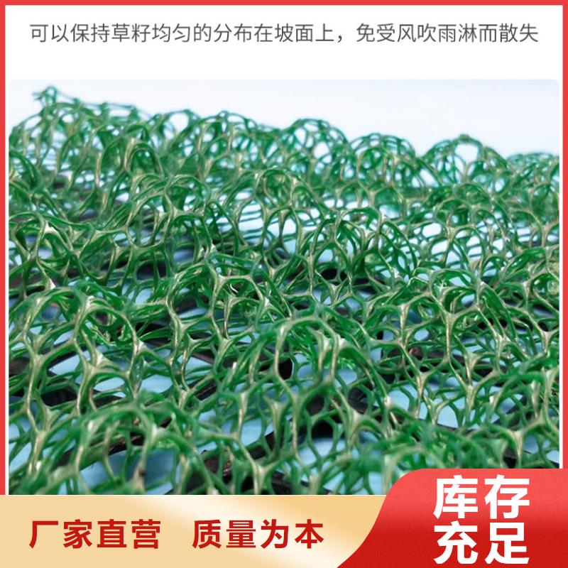 三维植被网,【土工布】精工制作