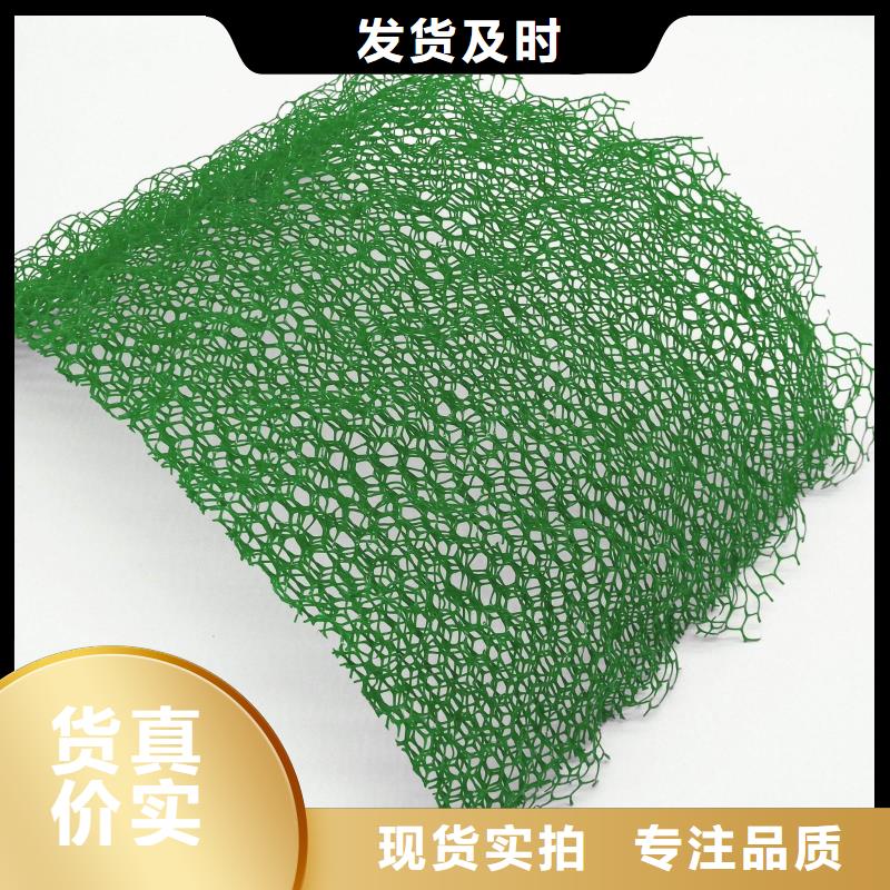 三维植被网土工席垫工厂现货供应