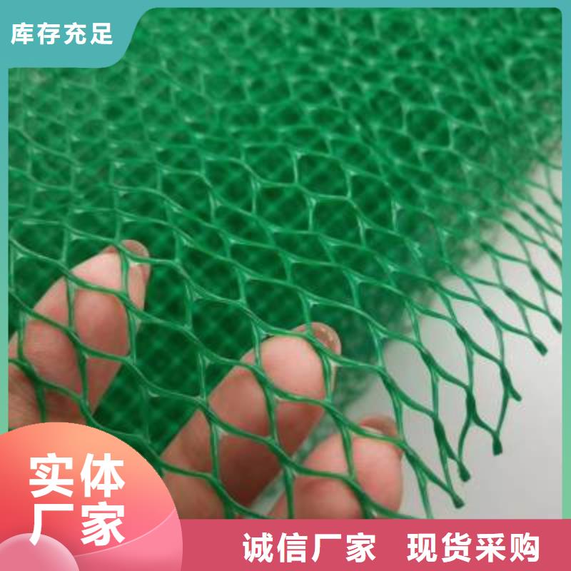 三維植被網保溫土工布多年實力廠家