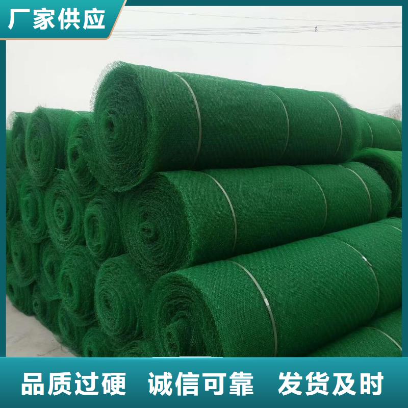 三维植被网土工席垫工厂现货供应