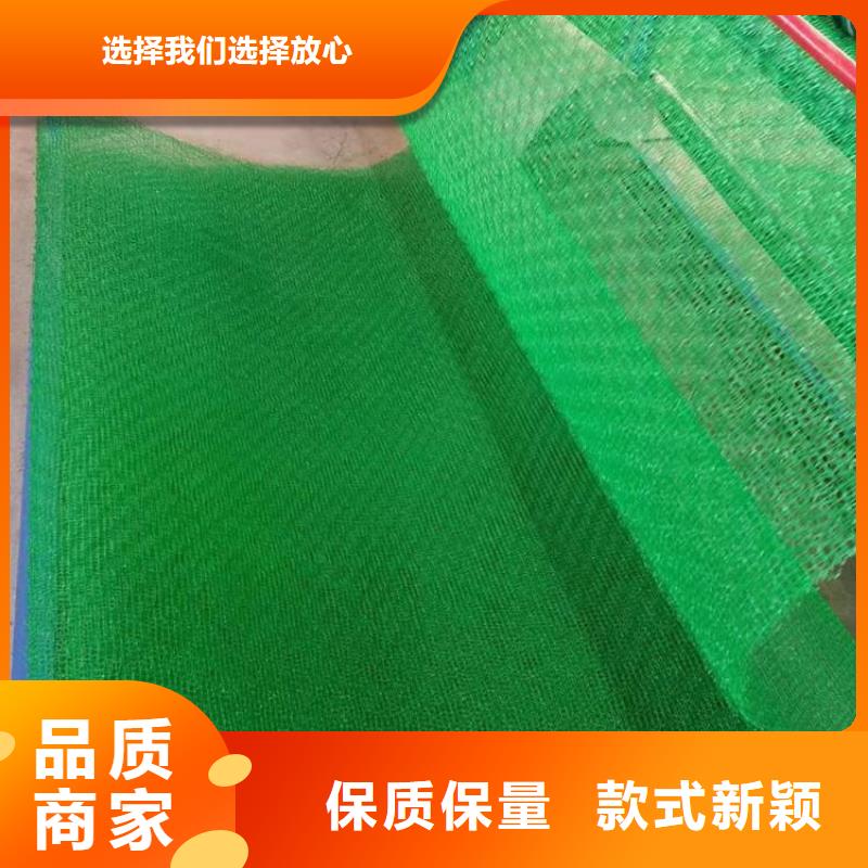 三维植被网-单向塑料土工格栅真正的源头厂家