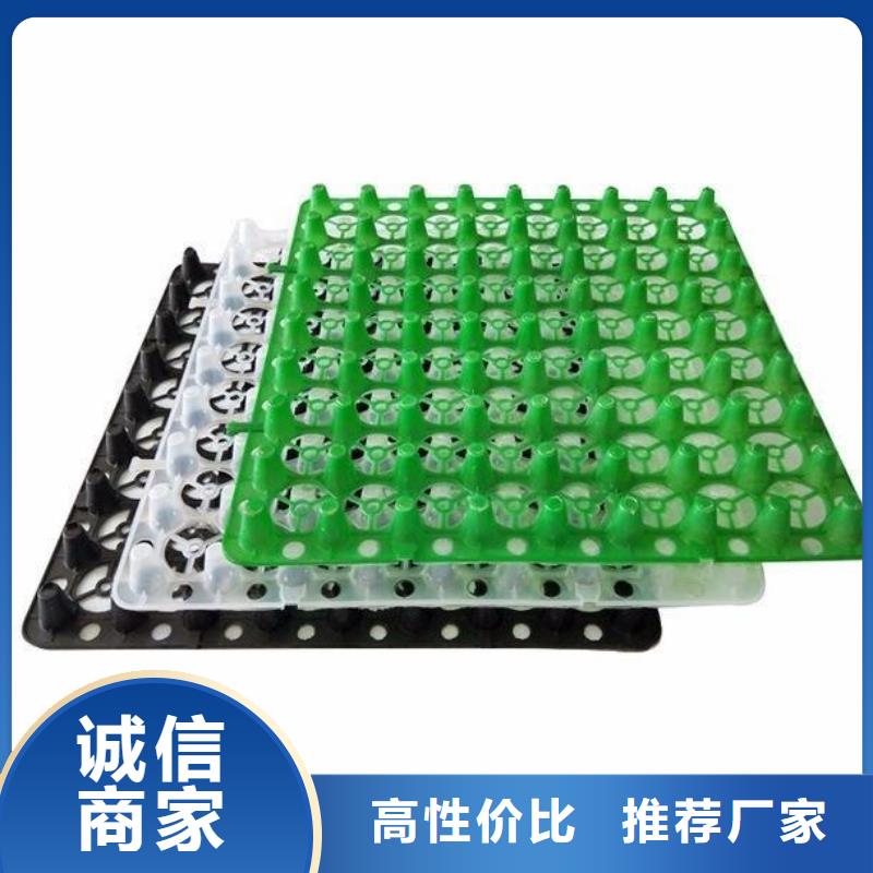 塑料排水板凸结点钢塑土工格栅现货实拍