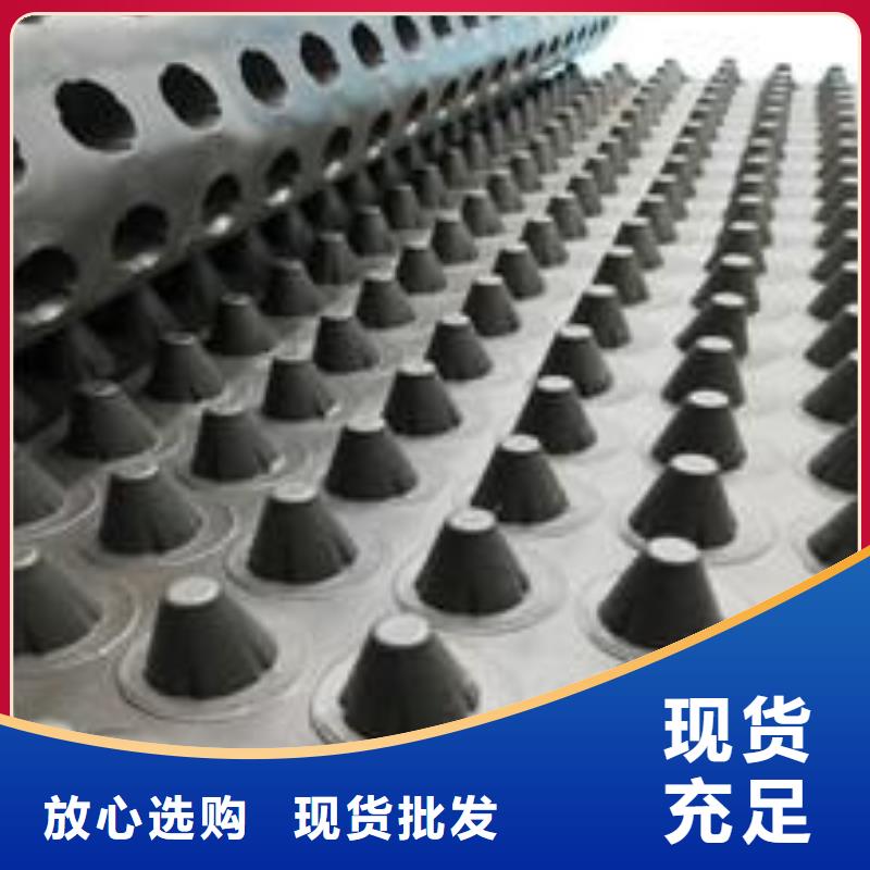 塑料排水板單向塑料土工格柵來圖定制
