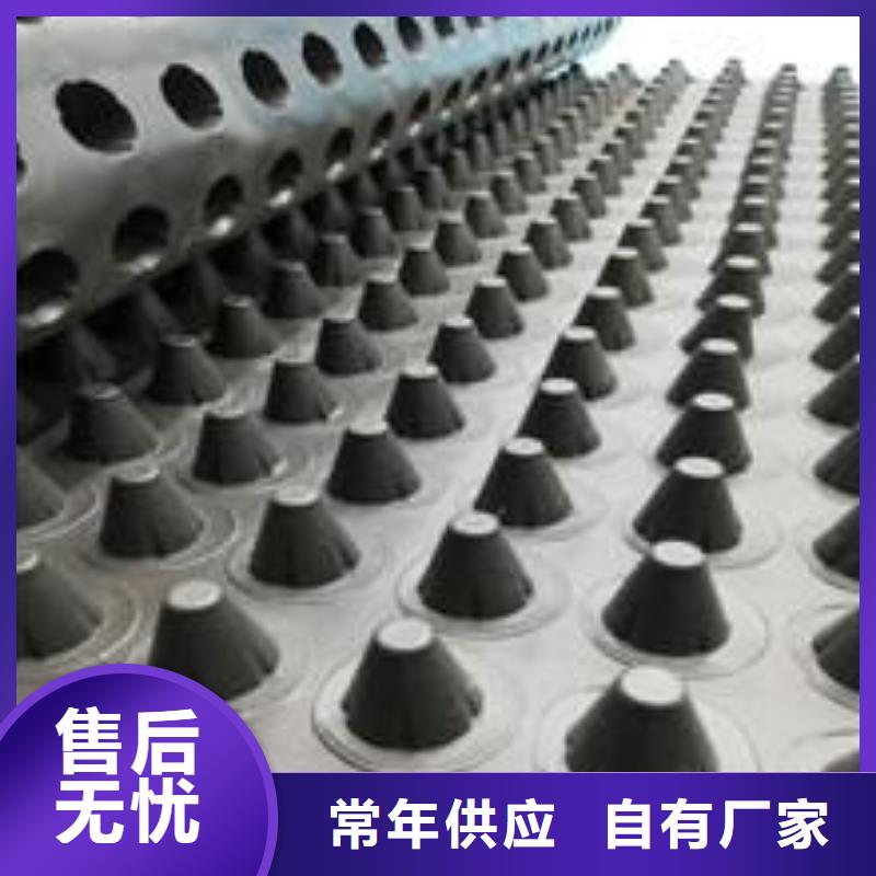 塑料排水板長絲土工布批發商