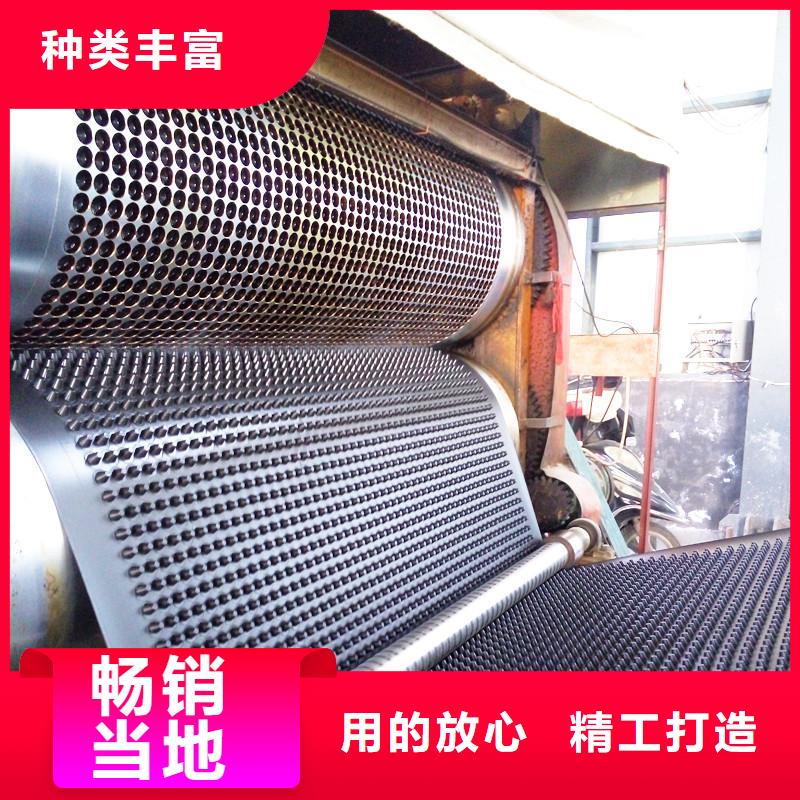 塑料排水板單向塑料土工格柵來圖定制