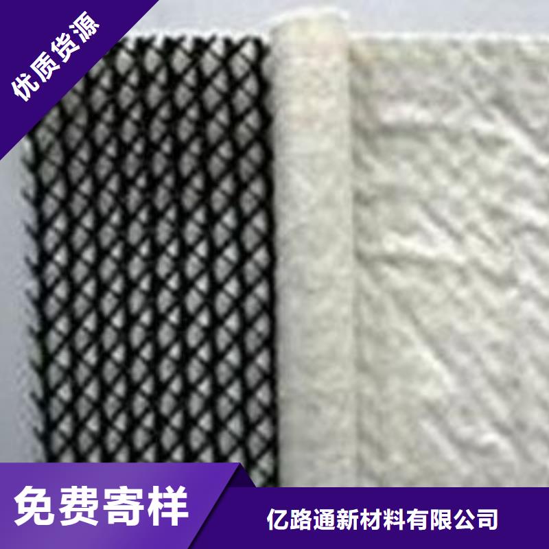 【三維復合排水網三維土工網墊暢銷當地】