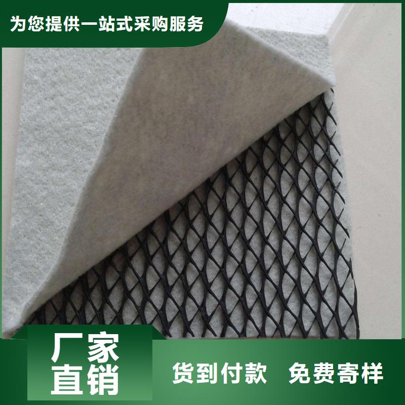 【三維復合排水網三維土工網墊暢銷當地】