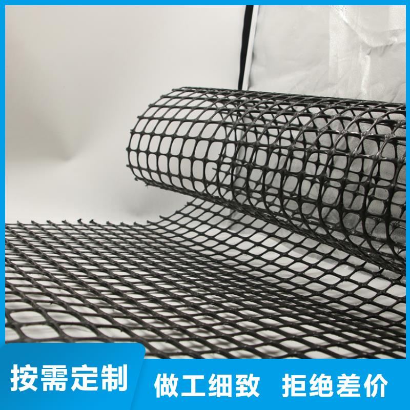 塑料土工格柵_三維植被網定制速度快工期短