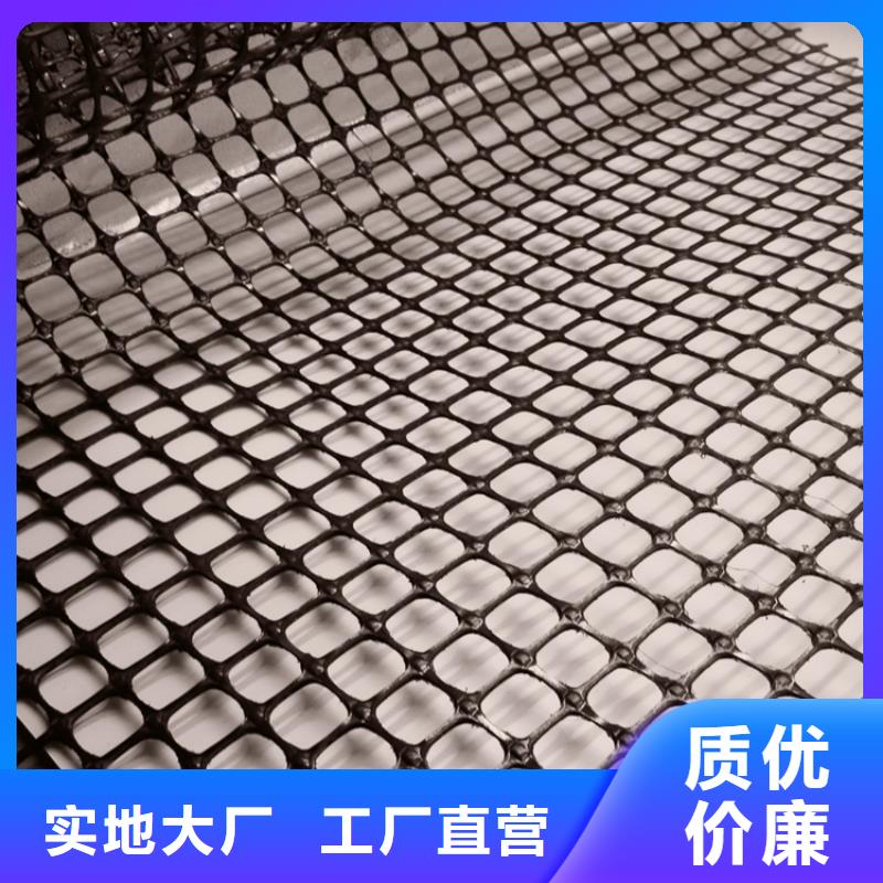 塑料土工格柵_三維植被網(wǎng)定制速度快工期短