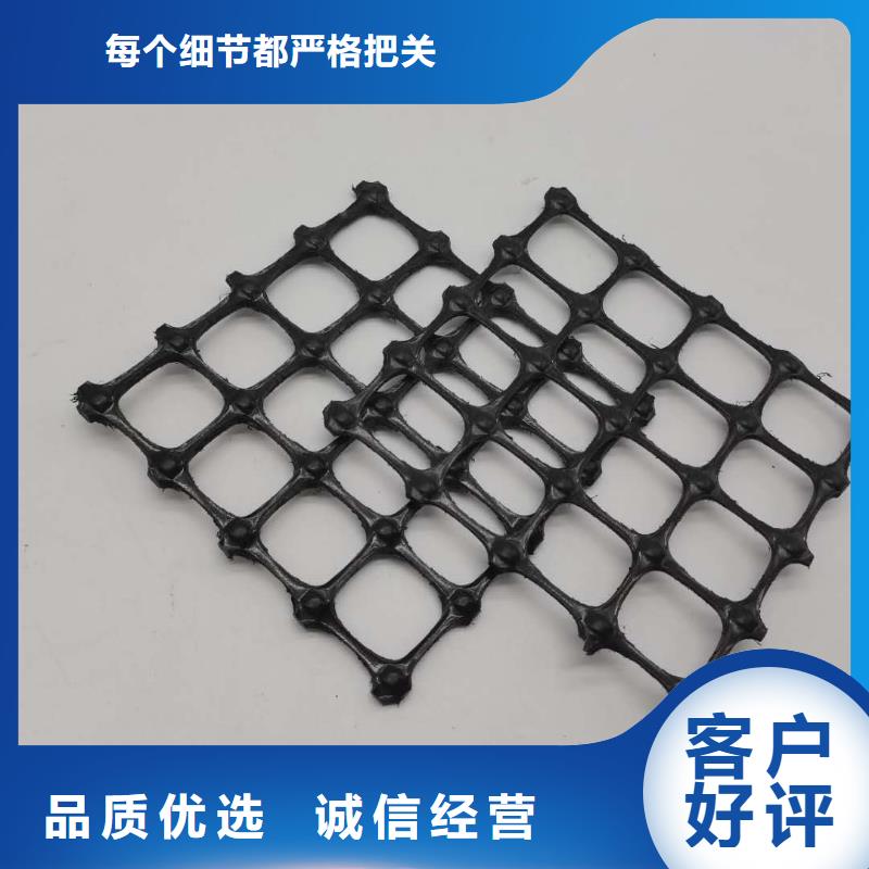 塑料土工格柵三維土工網墊專業生產廠家