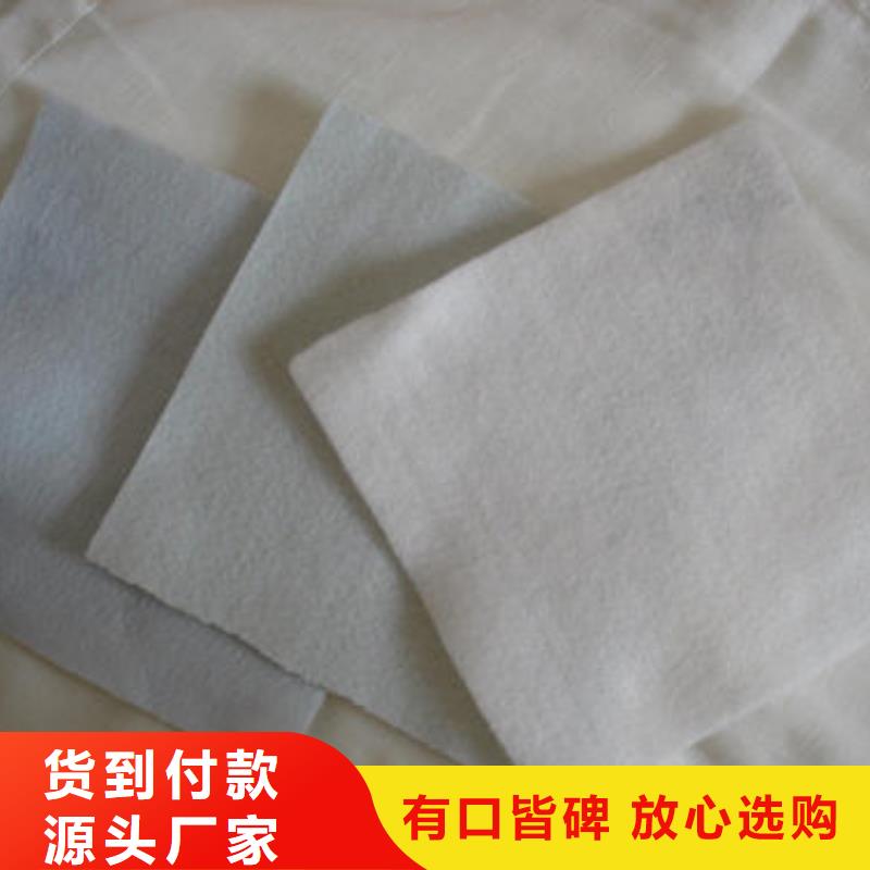 土工布鋼塑土工格柵定制批發(fā)