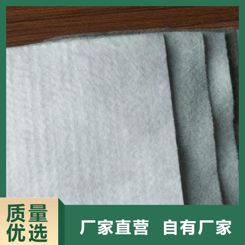土工布鋼塑土工格柵定制批發(fā)
