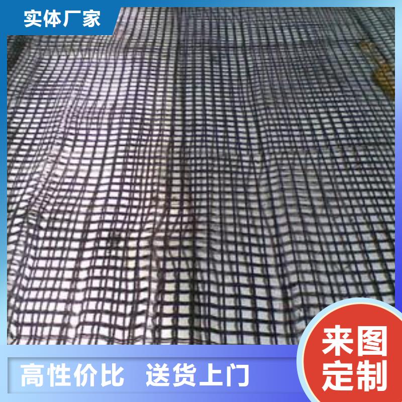 玻纖土工格柵護坡土工網現(xiàn)貨供應