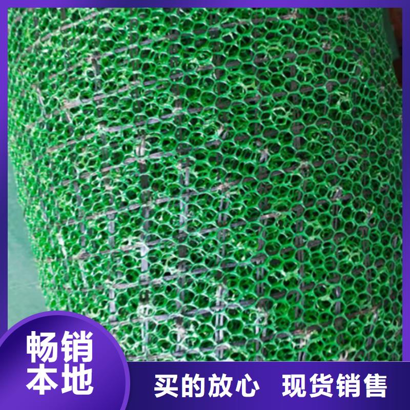 三维植被网【玻纤土工格栅】让客户买的放心