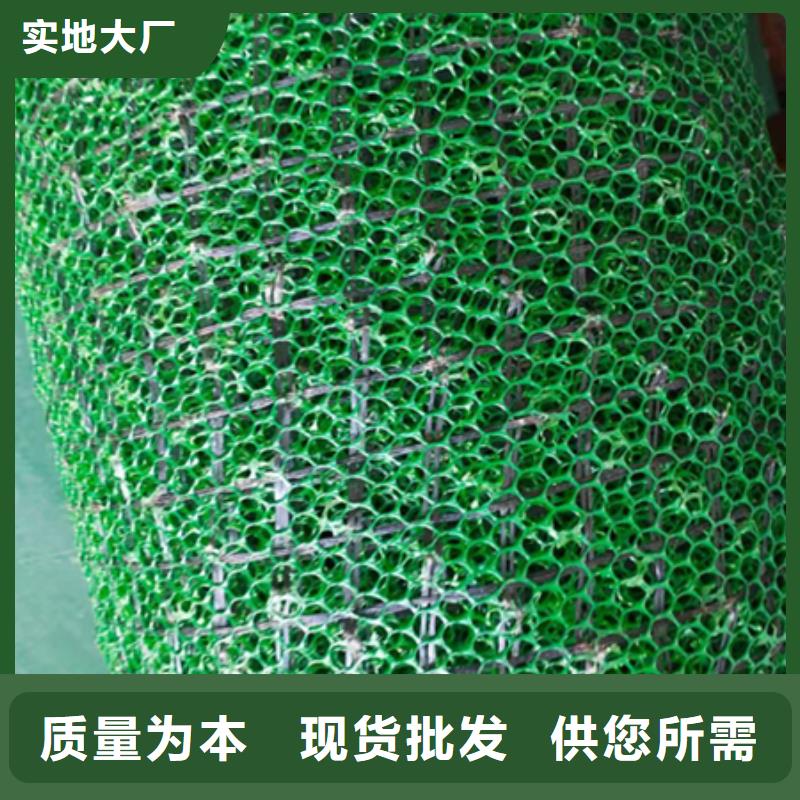 三維植被網,三維土工網墊同行低價