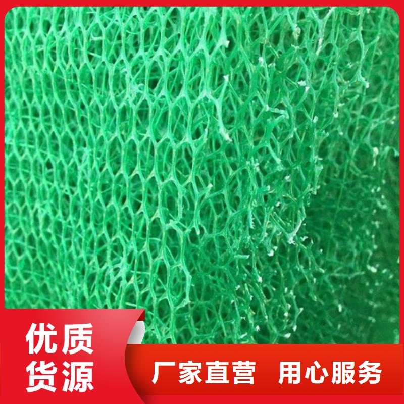 三維植被網單向塑料格柵為您提供一站式采購服務