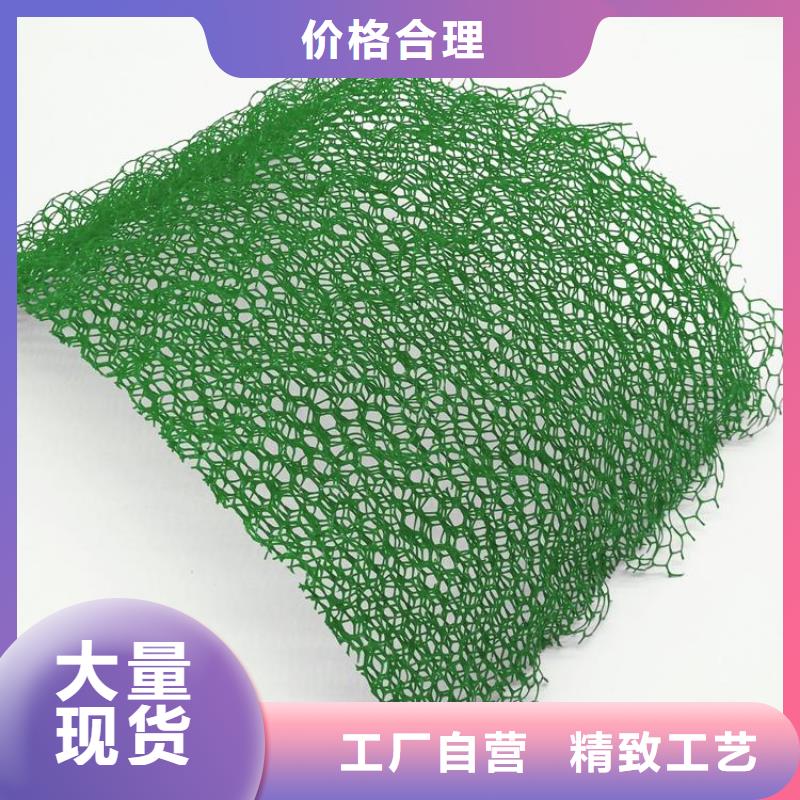 三维植被网【凸结点钢塑土工格栅】打造行业品质