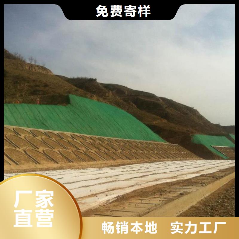 三維植被網土工席墊品質保障價格合理