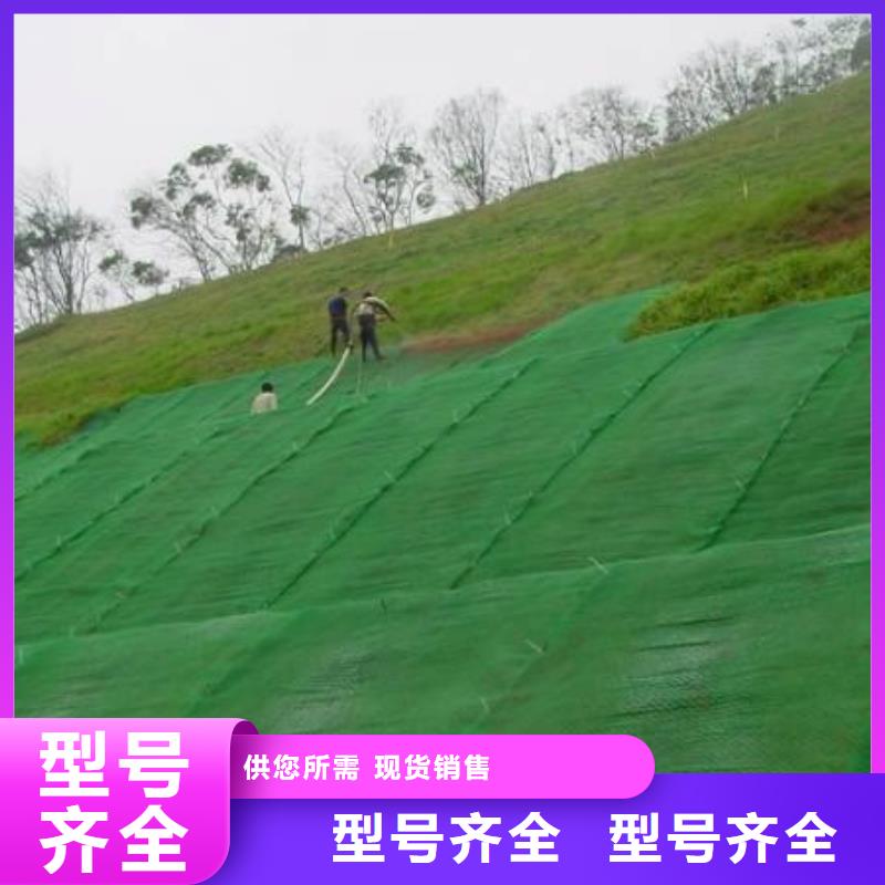 三維植被網(wǎng)防水土工布好產(chǎn)品不怕比
