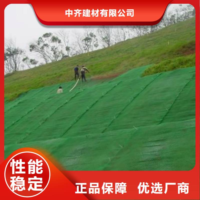 三维植被网三维土工网垫客户满意度高