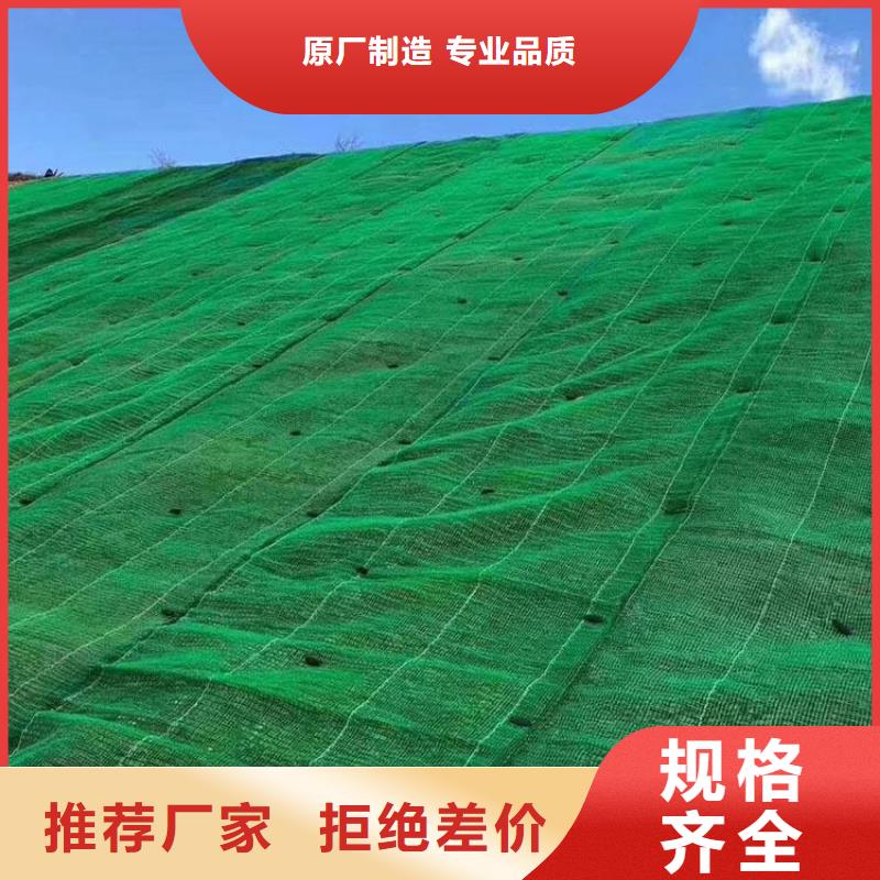 三維植被網單向塑料格柵產地廠家直銷